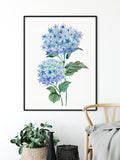 Blue Botanical Wall Art, Captivating Hydrangea Art Print