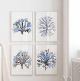 Seaweed Wall Decor Nautical Blue Coral Coastal Wall Art Set of 4 Prints Navy Minimalist Watercolor Painting Beach House Spring Summer Art