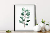 Eucalyptus Art Print, Eucalyptus Watercolor Print, Green Eucalyptus Wall Art, Tropical Leaf Print, leaf wall art