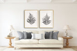 Fern Print Black and white, Botanical Leaf Prints Set, Living Room Wall Art, Fern Leaf Illustration, Printed and shipped