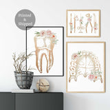 Dentist office decor, Dentistry Art, Dental wall art, Tooth Floral Anatomy, Set of 3 Prints, Dentist Clinic Art, Dentist student gifts